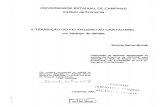 Mariutti, Balanço da transição (Dissertação).pdf