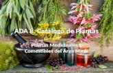 Catálogos de Plantas Medicinales del Área Maya