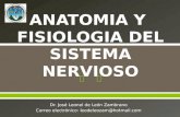Anatomia y Fisiologia Del Sistema Nervioso