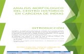 Analisis Morfologico Del Centro Historico en Cargena De