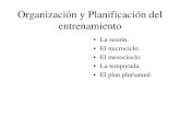 Organización y Planificación Del Entrenamiento UM