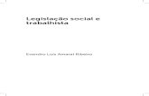 Livro_Legislação Social e Trabalhista kls (1)
