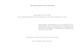 Dissertação Sobre Direção de Ator Para Cinema (PUCRS)