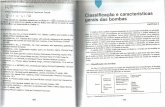 Cap. 4 - Classificação e Característias Gerais Das Bombas - De Falco