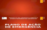 p.a.e - Plano de Ação de Emergência
