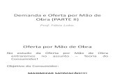 PDF Aep EconomiaDoTrabalho FabioLobo DemandaeOfertaporMaodeObra Parte II