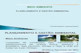 Planejamento x gestão ambiental.pdf