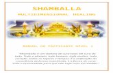 Shamballa Multidimensional Healing N­vel 1