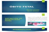 Óbito Fetal ginecologia