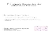 7 Principais Bactérias de Interesse Médico