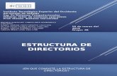 estructura de directorios