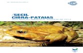 Declaração Ambiental Cibra 2014.pdf