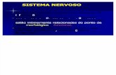 Sistema Nervoso 2016 1 SEMESTRE1 [Modo de Compatibilidade]