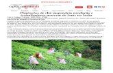 2016 - Texto para a Redação 4 - Índia e a colheita do chá.pdf