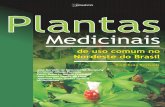 Plantas Medicinais - Uso Comum No Nordeste