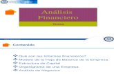 Estructura Del Análisis Financiero