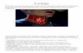 Anatomia Online - Laringe