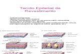 Tecido_Epitelial_de_Revestimento PRATICA 3.ppt