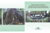 Diretrizes para instalação e medição de parcelas permanentes em florestas naturais da Amazônia Brasileira