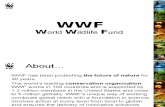 WWF org. SAI.ppt