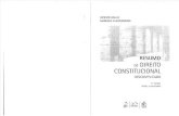 Resumo de Direito Constitucional Descomplicado Ed. Gen - Marcelo Alexandrino - 2010
