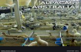 alpaca australiana.pdf