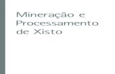 Mineração e Processamento de Xisto