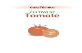 Guia Tomate