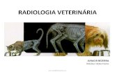 1 - radiologia em medicina veterinária.pdf