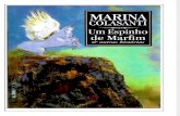 Marina Colasanti - Um Espinho de Marfim