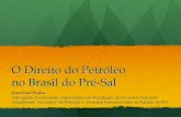 Direito Do Petroleo No Brasil