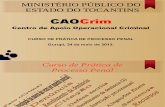 curso de prática de processo penal - Gurupi.pdf