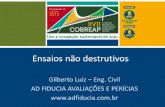 Ensaios Não Destrutivos -Gilberto Luiz - l