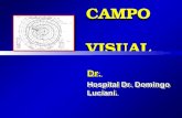 Ciuffi Campo Visual II