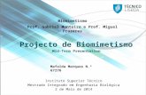 Project Biomimetismo