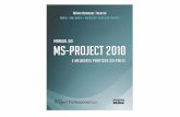 Ms Project 2010 PMI