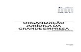 FGV  DIREITO RIO_Organizaçao Juridica da Grande Empresa