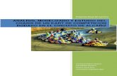 Analisis, Modelizado y Estudio Del Chasis de Un Kart de Competicion