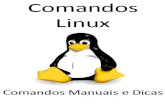 Linux - Comandos Manuais