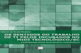 Os sentidos do trabalho de TI pelos incubados no Midi Tecnológico/SC: a empregabilidade num mundo conexionista - Gabriel de Souza Bozzano