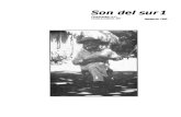 Son Del Sur 1 - Web 72dpi