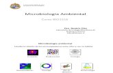 Microbiologia Ambiental BIO151E