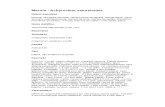 Macela - Achyrocline satureioides medicinal -  Ervas e Frutas Comestíveis do Bioma Mata Atlântica – Ficha Completa Ilustrada