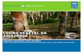 Case Studies UNDP: COURO VEGETAL DA AMAZONIA, Brazil