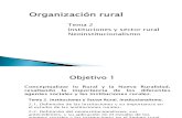 Tema 2 Org. Rural 2013.pdf