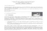 Aula 04 Processo Penal Pedro ivo.pdf