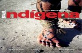Brasil Indígena 3