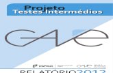 gave [mec] 2013_projecto testes intermédios, relatório 2012