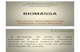 Biocombustíveis - Biomassa