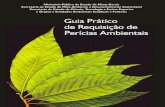 Guia Brasil Pericias Ambient Ales